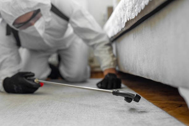 Professional Mosquito Control technician working in East Farmingdale, NY