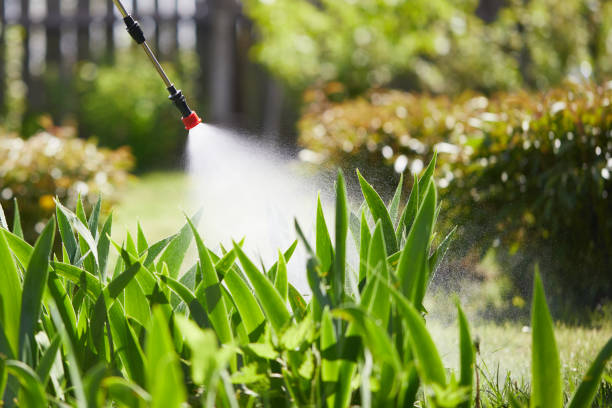 24/7 Emergency Mosquito Control experts in East Farmingdale, NY